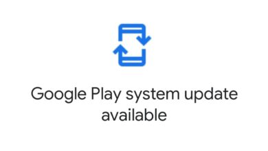 Google System Update