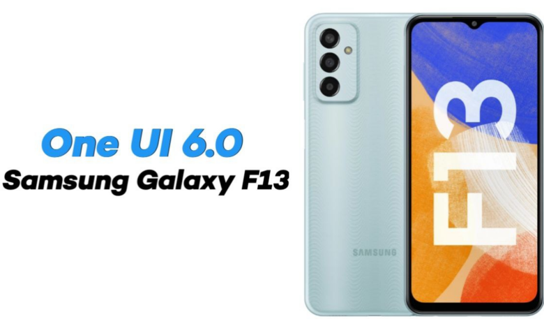 Samsung Galaxy F13 One UI 6.0 Update India