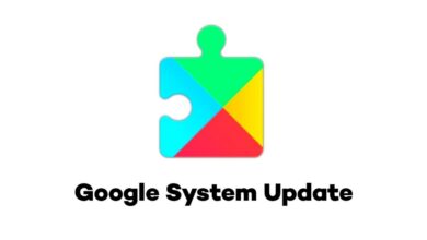 google system update