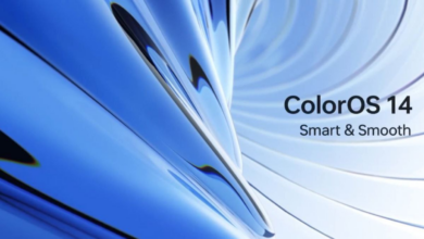 ColorOS 14 Update Rollout February Timeline