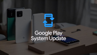 April 2024 Google Play system update